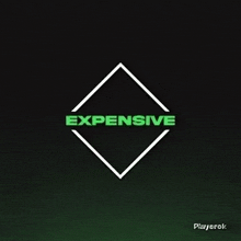 the word expensive is on a green background