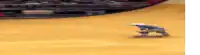 a toy robot is riding a skateboard on a yellow surface .
