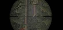 a sniper scope shows a dense forest with trees and branches