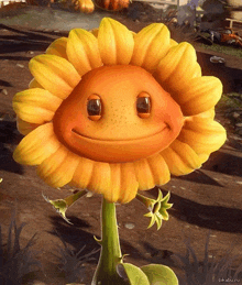 a cartoon sunflower with a smiley face on its face