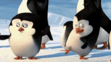 Madagscar Penguins GIF - Madagscar Penguins High Five GIFs