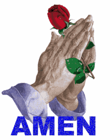 blessings amen praying rose flowers