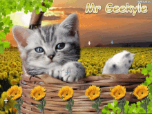 Mr Geekyle Cat GIF - Mr Geekyle Cat Glittery GIFs