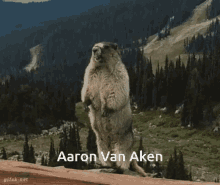 Aaron Van Aken GIF - Aaron Van Aken GIFs