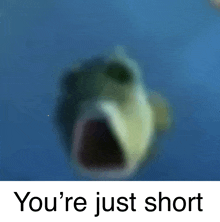 Youre Just Short GIF - Youre Just Short GIFs