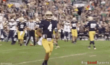 College Football - Notre Dame GIF - College Football Notre Dame GIFs