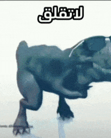 a cartoon drawing of a hippo wearing sunglasses with the word " l' eau " written above it