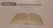 tom riddles diary text rug driving license license