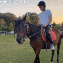 sespo valespo edoardo esposito cavallo horseback riding