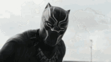 Civil War Black Panther GIF - Civil War Black Panther Hawkeye GIFs