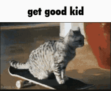 Get Good Kid Meow GIF - Get Good Kid Meow Cat GIFs