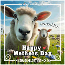 a picture of two sheep with the words happy mothers day