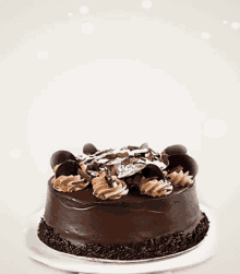 a chocolate cake with frosting and chocolate sprinkles on a white plate