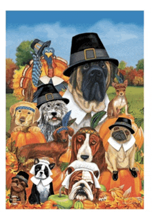 Happy Thanksgiving From Buddy And His Friends GIF - Happy Thanksgiving From Buddy And His Friends GIFs