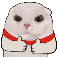 a white cat with a red scarf around its neck gives a thumbs up