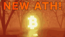 Bitcoin All Time High Bitcoin Moon GIF