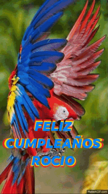 Feliz Cumpleanos Rocio Happy Birthday GIF - Feliz Cumpleanos Rocio Happy Birthday Birds GIFs