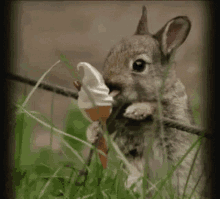 Funny Just GIF - Funny Just Curious GIFs