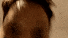 a close up of a person 's head with a blurred background .