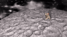 a cat standing on top of a rocky hill in space