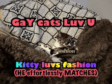 a cat is sitting on a blanket with the words gay cats luv u kitty luvs fashion