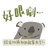 an illustration of a koala bear sleeping with chinese writing below it