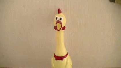 びっくり 鶏 GIF – Chicken Surprised Shookt – discover and share GIFs
