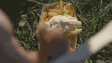 Belgian Fries French Fries GIF