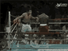 Ali Boxing GIF - Ali Boxing Muhammad Ali GIFs