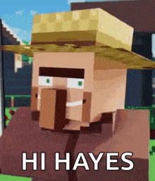 a minecraft villager wearing a straw hat is standing in front of a house .