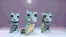 El Gato GIF - El Gato GIFs