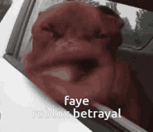 Faye GIF - Faye GIFs