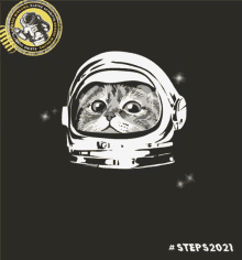 Astronaut Cat GIF - Astronaut Cat Steps2021 GIFs