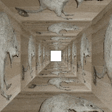 a row of dead mice are in a wooden tunnel