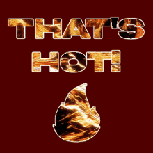 Heat Hot GIF - Heat Hot Netsu GIFs