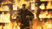 Timtebow Dogs GIF - Timtebow Dogs Fire GIFs