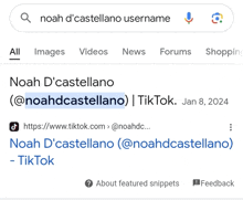 Noah D'Castellano Tiktok Username Noah D'Castellano Username On Tiktok GIF