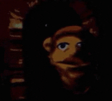 a close up of a puppet 's face in a dark room .