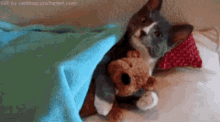 Dog Hug Stuffie Goodnight GIF - Dog Hug Stuffie Goodnight Cat GIFs