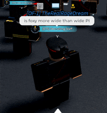 a screenshot of a video game that says the real ragedream