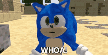 Whoa Sonic GIF