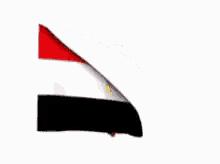 Syria Flag GIF