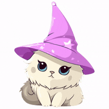wizard wizardcat