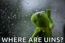 kermit the frog is standing in front of a window with rain drops on it and asking where are uins ?