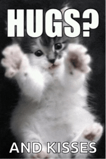 a picture of a cat with the words hugs and kisses