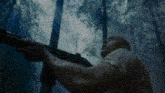 a man is hanging on a rope in the woods .