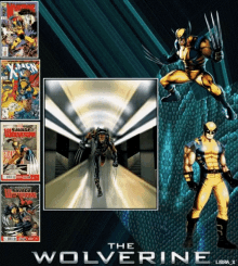Superhero Wolverine GIF - Superhero Wolverine Comics GIFs
