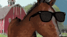 Correct Horse Correct Answer GIF - Correct Horse Correct Answer Thats Correct GIFs