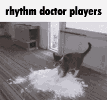 doctor rhythm
