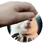 a person is holding a cd with a cat on it .